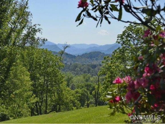 95 DANDELION DRIVE - Photo 14