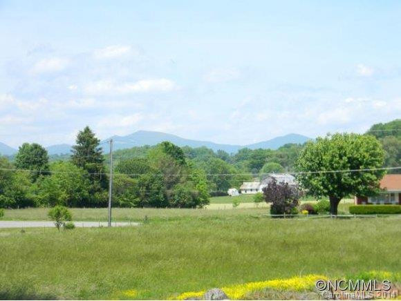 1171 HENSON COVE ROAD - Photo 11