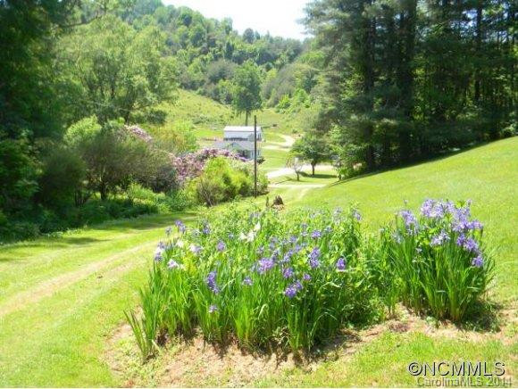 1171 HENSON COVE ROAD - Photo 3