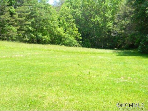 1171 HENSON COVE ROAD - Photo 4