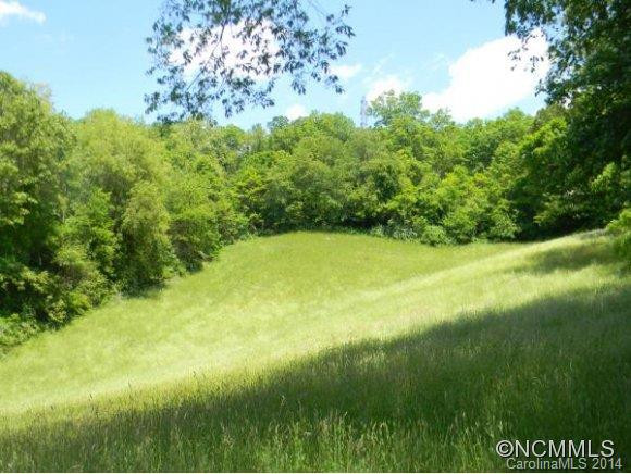 1171 HENSON COVE ROAD - Photo 8