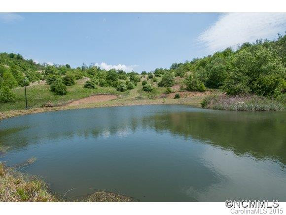 411 Evergreen Falls Drive - Photo 10