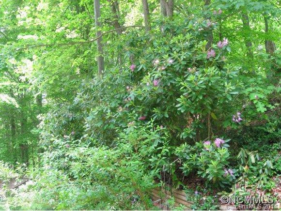 128 Birch Springs Road - Photo 18