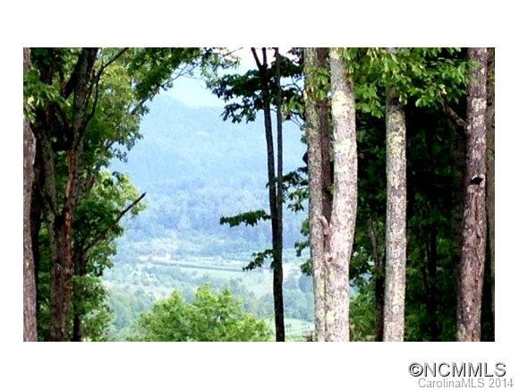 40 Butler Ridge Trail - Photo 6