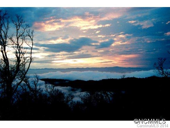 99 Elk Trail - Photo 4