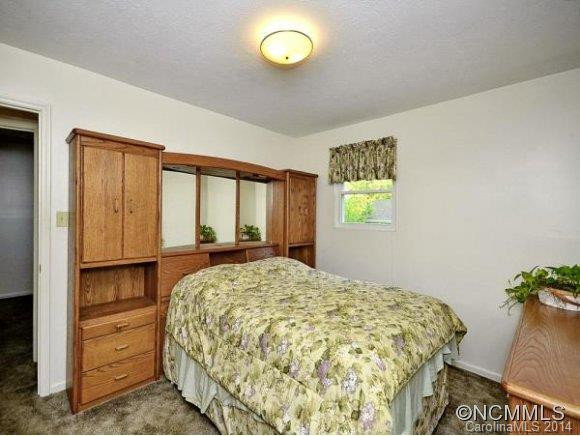 146 STRADLEY MOUNTAIN ROAD - Photo 4