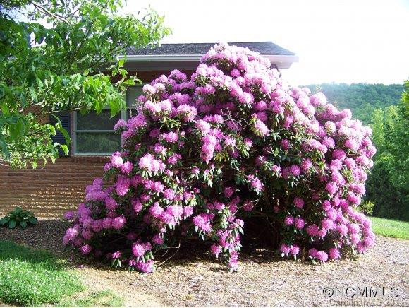914 Old Fort Road - Photo 23