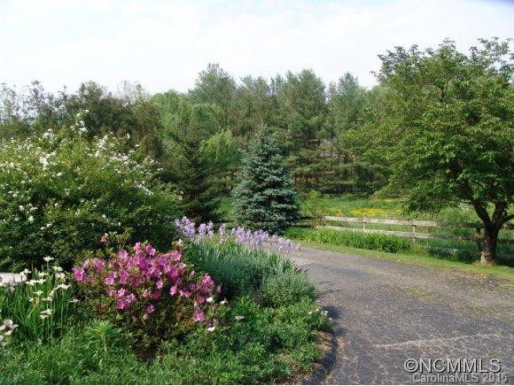 1615 Charlotte Highway - Photo 4