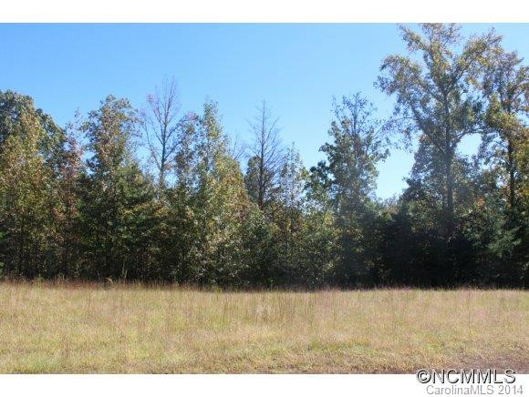 147 Grandview Lane - Photo 4