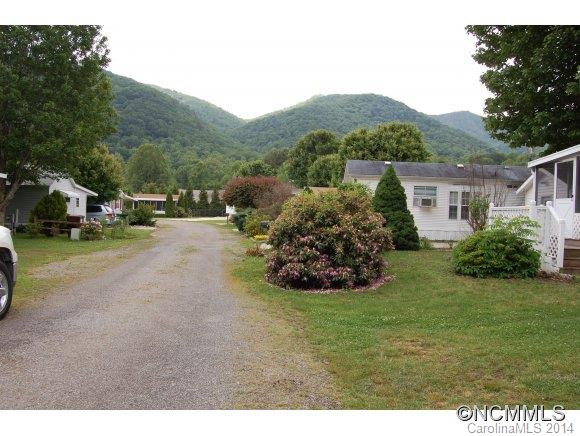 106 Crab Apple Lane - Photo 3