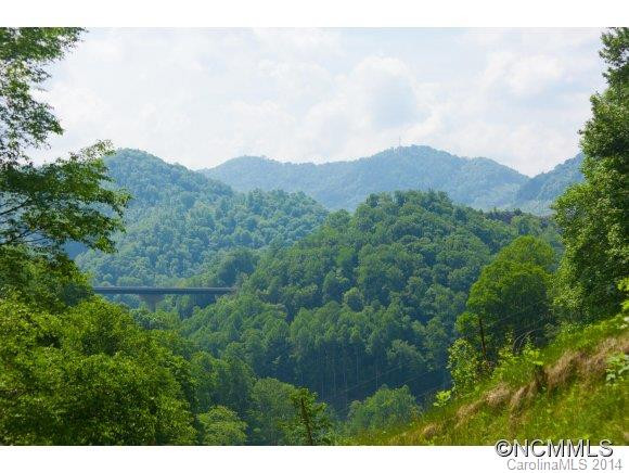 15777 Big Laurel Road - Photo 6