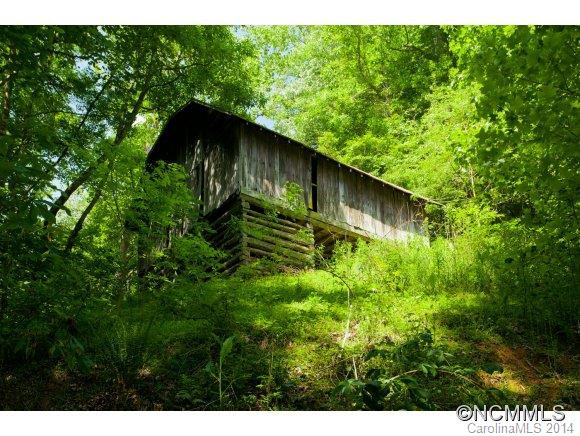 15777 Big Laurel Road - Photo 7