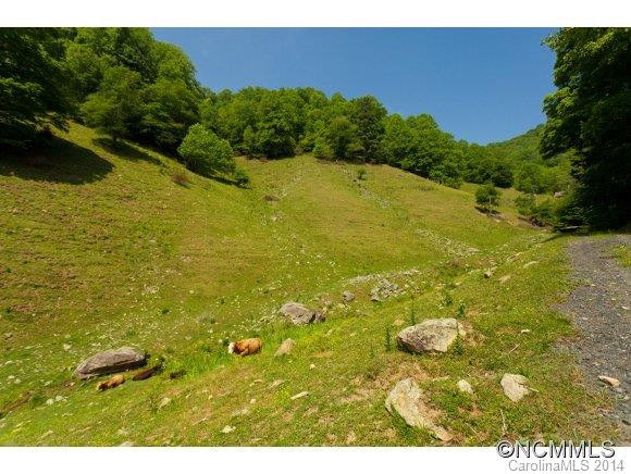 15777 Big Laurel Road - Photo 9