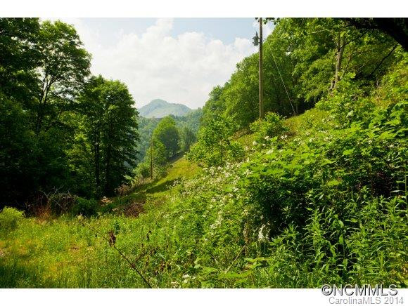 15777 Big Laurel Road - Photo 10
