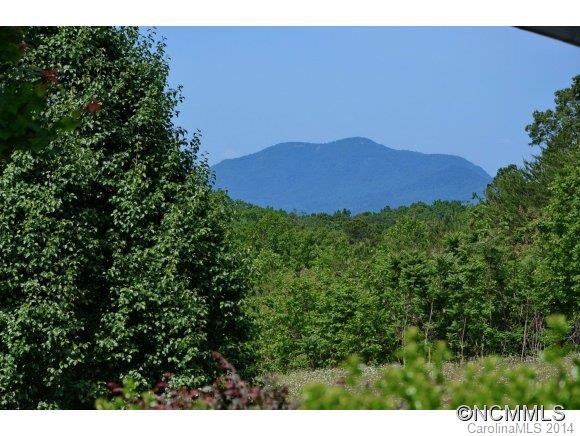 4006 POLK COUNTY LINE ROAD - Photo 22