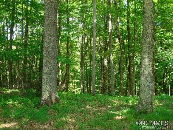 201 Hampton Gap Road - Photo 4
