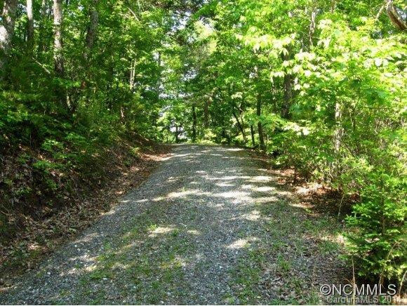 53 Moonshine Trace - Photo 2