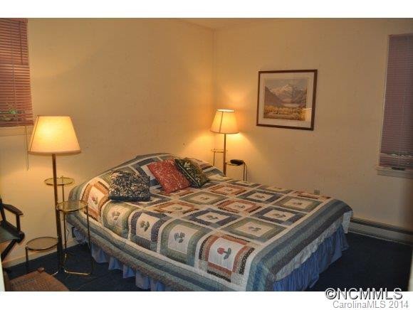 339 Snake Ridge Rd. - Photo 3