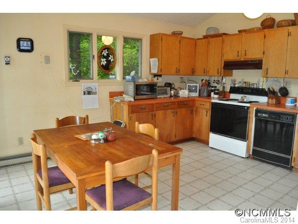 339 Snake Ridge Rd. - Photo 4
