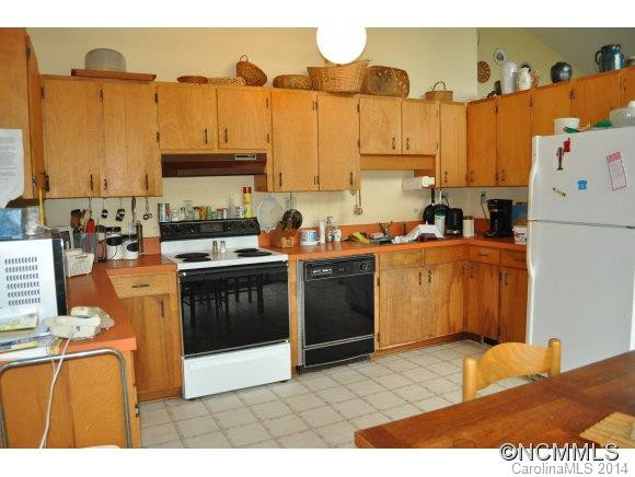 339 Snake Ridge Rd. - Photo 5