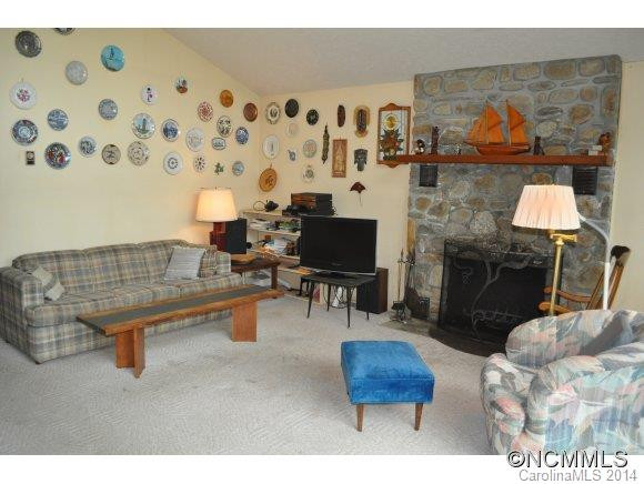 339 Snake Ridge Rd. - Photo 6