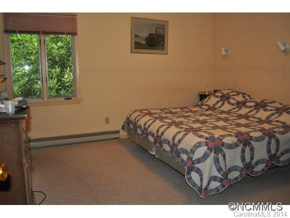 339 Snake Ridge Rd. - Photo 7