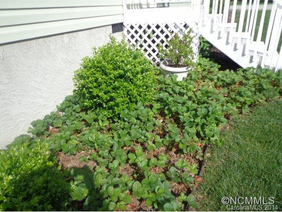 137 Middle Street - Photo 14