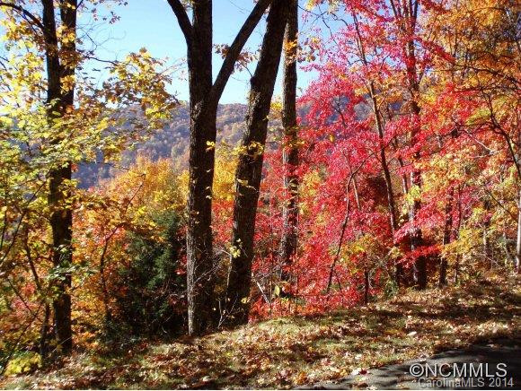 878 Winding Creek Road - Photo 24