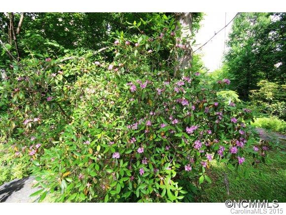 1574 Becky Mountain Road - Photo 17