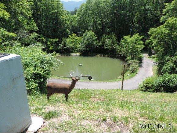 7  Dogwood Lane - Photo 20