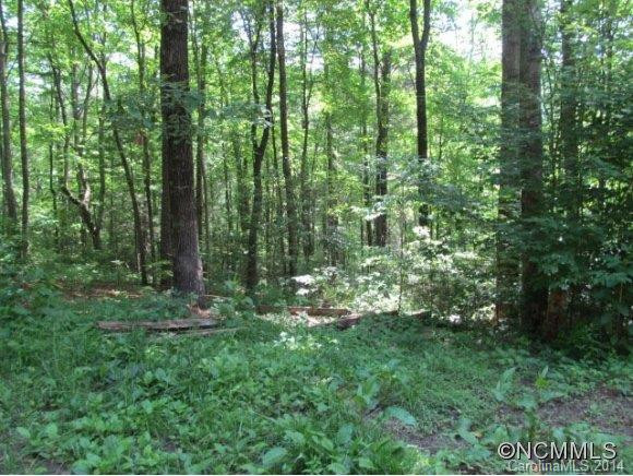 2725 Old Toxaway Rd. - Photo 11
