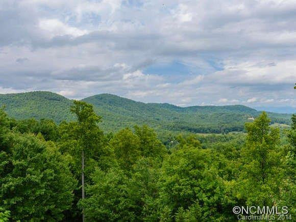 334 Boundary Tree Pass - Photo 7
