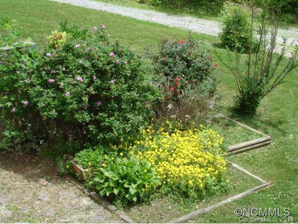 254 White Birch Dr. - Photo 4