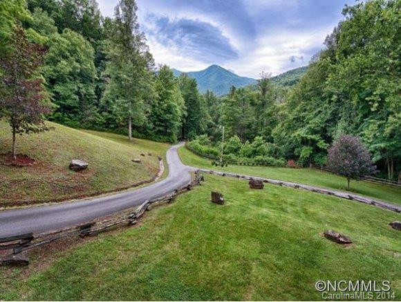 31 Mountain Springs Lane - Photo 7