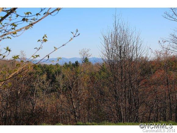 1219 Big Branch Road - Photo 2