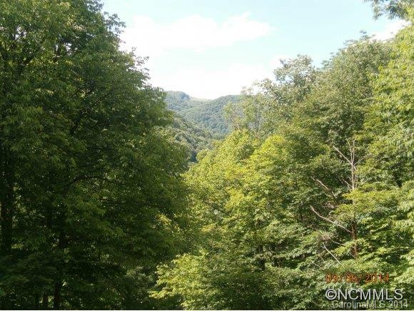 1052 TUMBLING FORK - Photo 11