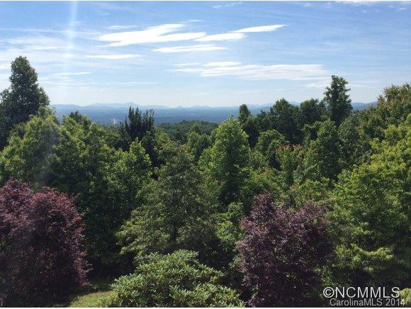 3676 Laurel Park Hwy. - Photo 3
