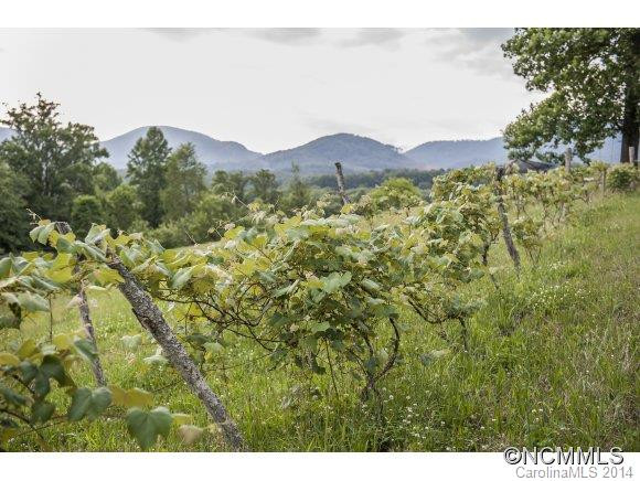 591 Golden Valley Drive - Photo 22