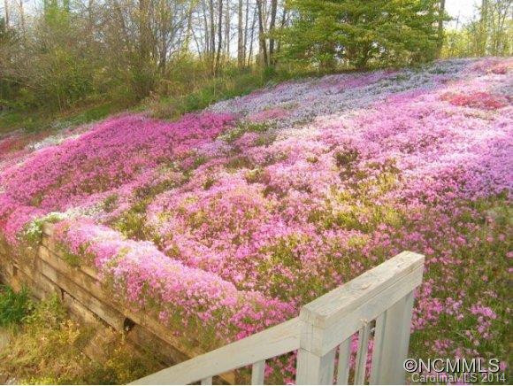 14 Spring Meadows - Photo 12