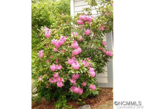 14 Spring Meadows - Photo 23