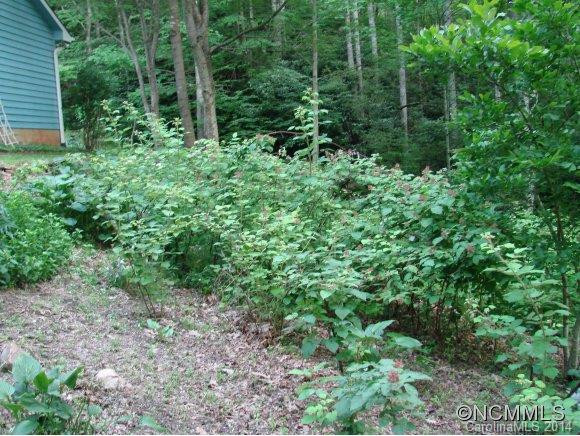 179 Saw Branch Road - Photo 12