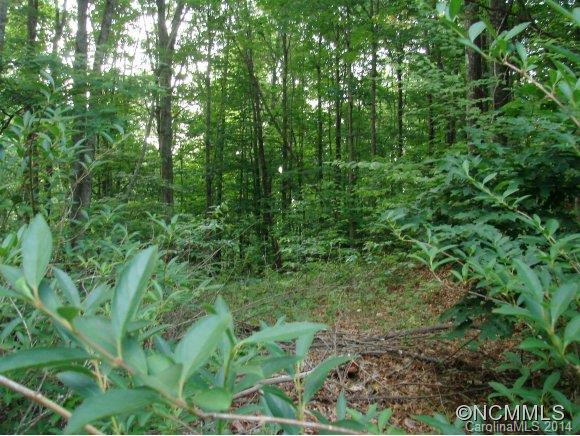 179 Saw Branch Road - Photo 13