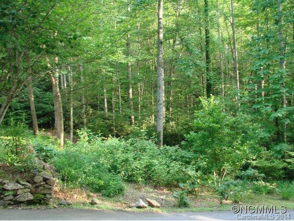179 Saw Branch Road - Photo 16