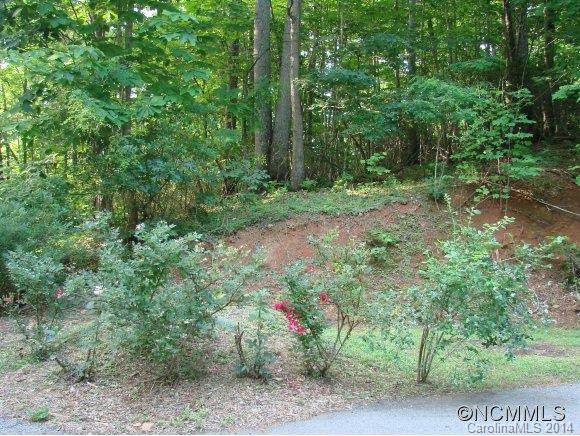 179 Saw Branch Road - Photo 17