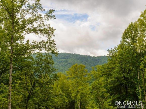 136 Chestnut Creek - Photo 20
