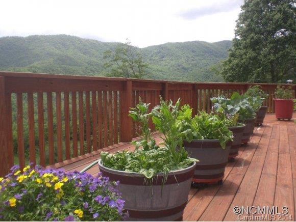 775 Mustard Seed Trail - Photo 3