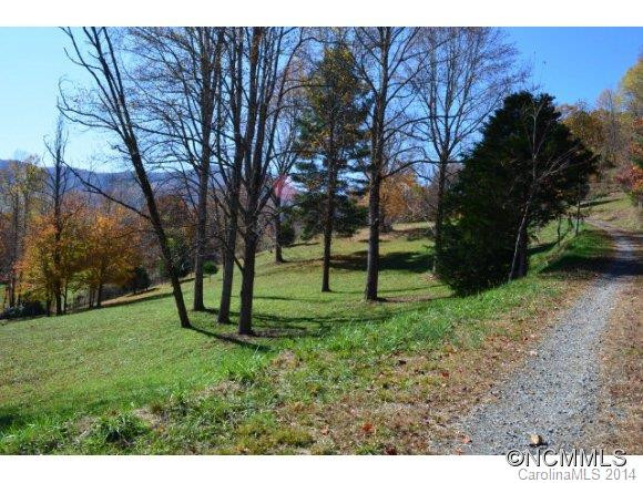775 Mustard Seed Trail - Photo 4