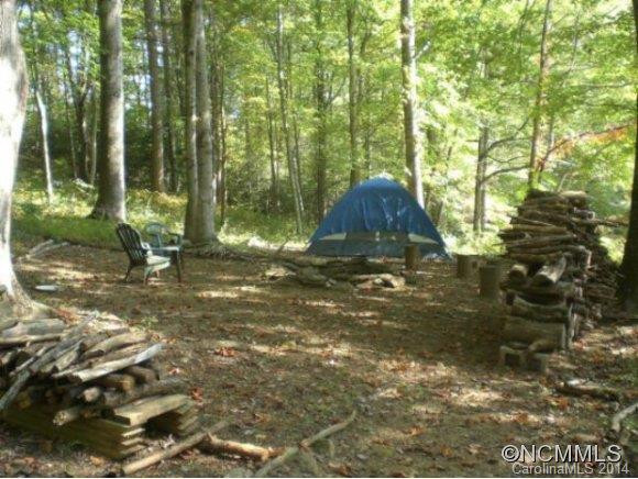 775 Mustard Seed Trail - Photo 8