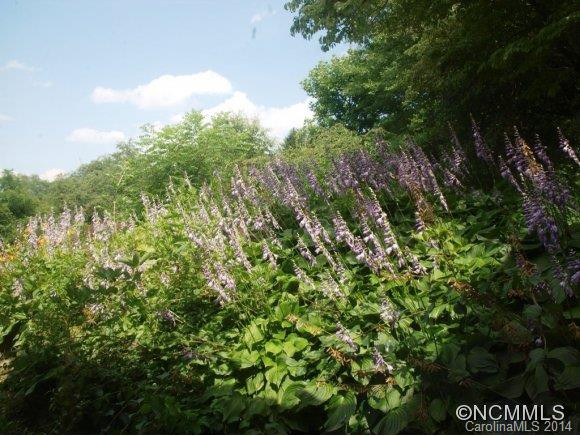 77 Morningside Drive - Photo 24