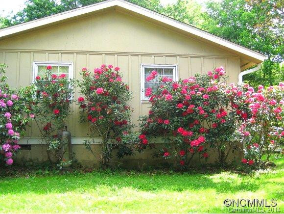 13 Somerset Road - Photo 3